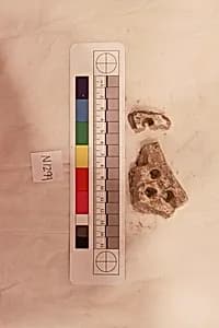 Stucco Fragment by Unknown Artist