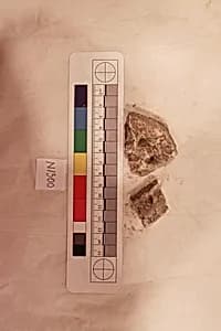 Stucco Fragment by Unknown Artist