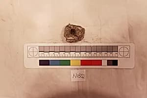 Stucco Fragment by Unknown Artist