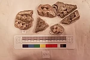 Stucco Fragment by Unknown Artist