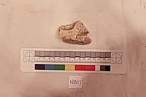 Stucco Fragment by Unknown Artist