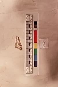 Stucco Fragment by Unknown Artist