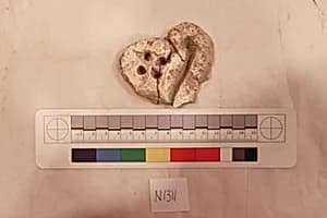 Stucco Fragment by Unknown Artist