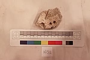 Stucco Fragment by Unknown Artist