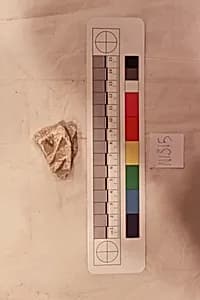 Stucco Fragment by Unknown Artist