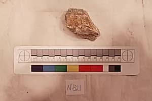 Stucco Fragment by Unknown Artist
