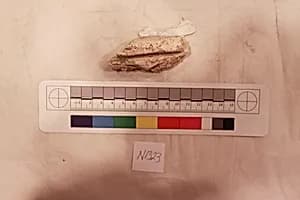 Stucco Fragment by Unknown Artist