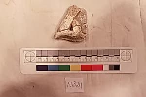 Stucco Fragment by Unknown Artist