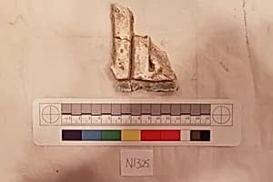 Stucco Fragment by Unknown Artist