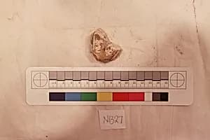 Stucco Fragment by Unknown Artist