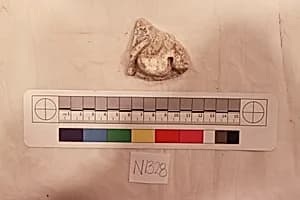 Stucco Fragment by Unknown Artist