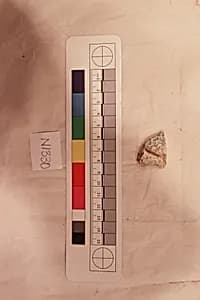 Stucco Fragment by Unknown Artist