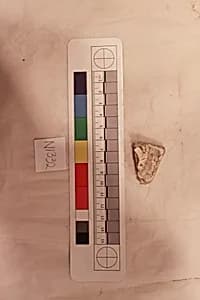 Stucco Fragment by Unknown Artist