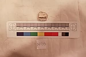 Stucco Fragment by Unknown Artist