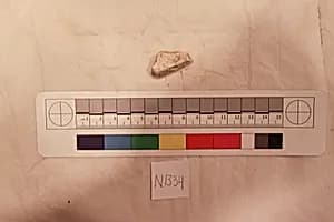 Stucco Fragment by Unknown Artist
