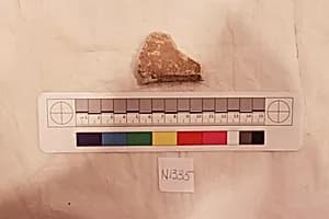 Stucco Fragment by Unknown Artist