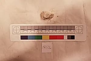 Stucco Fragment by Unknown Artist