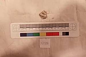 Stucco Fragment by Unknown Artist
