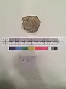 Stucco Fragment by Unknown Artist