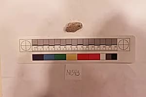 Stucco Fragment by Unknown Artist