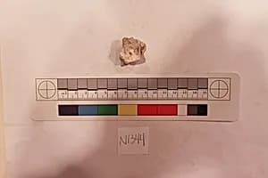 Stucco Fragment by Unknown Artist