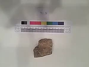 Stucco Fragment by Unknown Artist