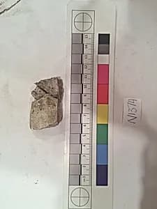 Stucco Fragment by Unknown Artist