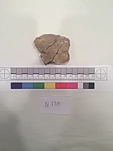 Stucco Fragment by Unknown Artist