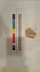 Stucco Fragment by Unknown Artist