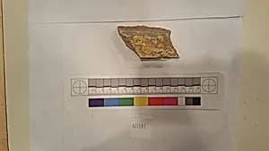 Stucco Fragment by Unknown Artist