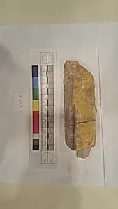 Stucco Fragment by Unknown Artist