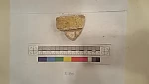 Stucco Fragment by Unknown Artist