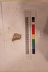Stucco Fragment by Unknown Artist