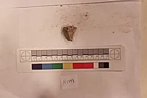 Stucco Fragment by Unknown Artist