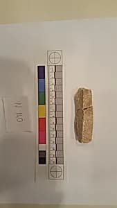 Stucco Fragment by Unknown Artist