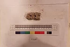 Stucco Fragment by Unknown Artist