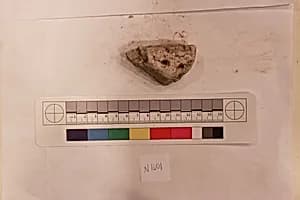 Stucco Fragment by Unknown Artist