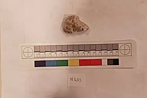 Stucco Fragment by Unknown Artist