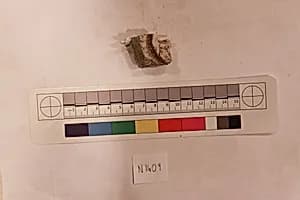 Stucco Fragment by Unknown Artist