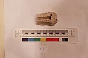 Stucco Fragment by Unknown Artist