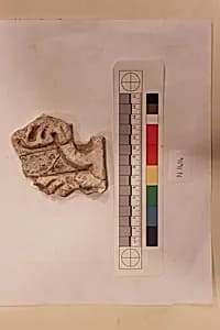 Stucco Fragment by Unknown Artist