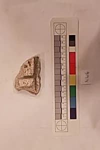 Stucco Fragment by Unknown Artist