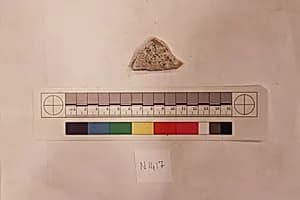 Stucco Fragment by Unknown Artist