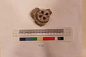 Stucco Fragment by Unknown Artist