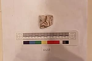 Stucco Fragment by Unknown Artist