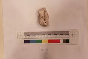 Stucco Fragment by Unknown Artist