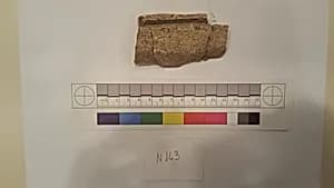 Stucco Fragment by Unknown Artist