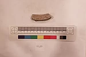 Stucco Fragment by Unknown Artist