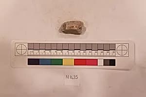 Stucco Fragment by Unknown Artist