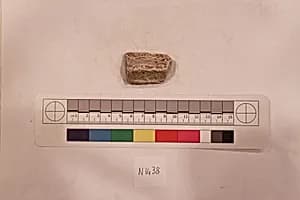 Stucco Fragment by Unknown Artist